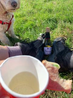 Prosecco for lunch thanks to our guest walkers